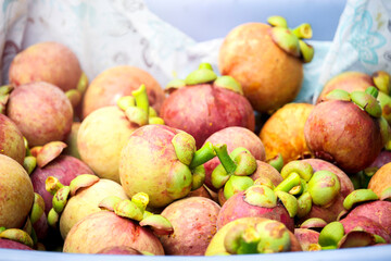 Fresh ripe young mangosteen fruits