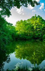 Fototapeta na wymiar Deep Run Park Pond Reflections