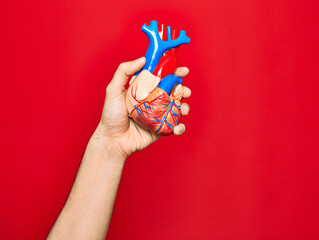 Beautiful hand of man holding artificial heart over isolated red background
