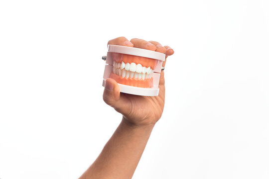 Hand of caucasian young man holding plastic denture teeth over isolated white background