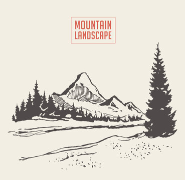 Two mountains spruce forest river vector sketch