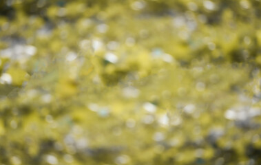 a view of blur natural background