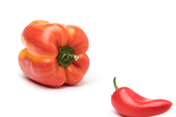 Variegated pepper red and yellow with mini peppers on white background. Health Concept