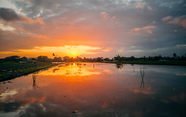 Fototapeta na wymiar Beautiful sunset with dramatic sky, overlooking green rice terraces in Bali Indonesia,