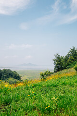 Wooeum island green nature scenery from Songsan Green City Observatory in Hwaseong, Korea