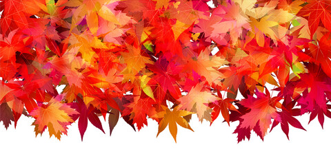 紅葉　もみじ　秋　背景