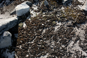 Large boulders of rock, in a national park in the Polar Urals, Russia. Hiking concept.