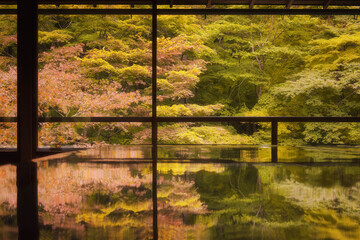 京都・秋の瑠璃光院