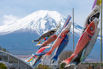富士山と鯉のぼり（山梨県・山中湖花の都公園）