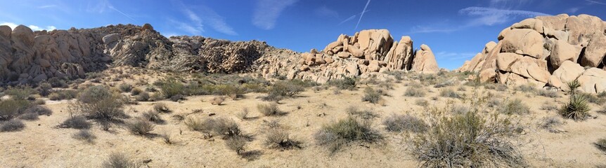 Joshua Tree National Park
