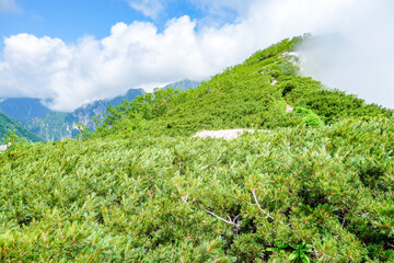 北アルプス　七倉岳　風景