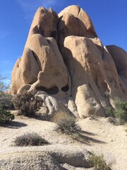 Joshua Tree National Park