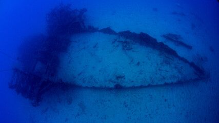 Shipwreck Park of Pernambuco - Brazil