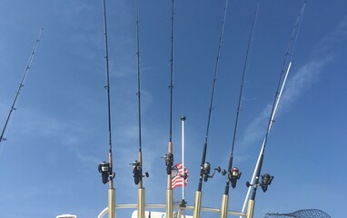 fishing poles