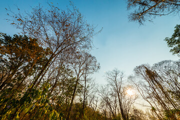 Under the shade of trees.11