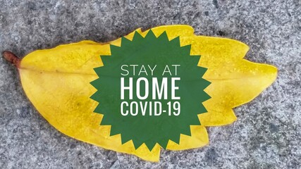 Covid- 19