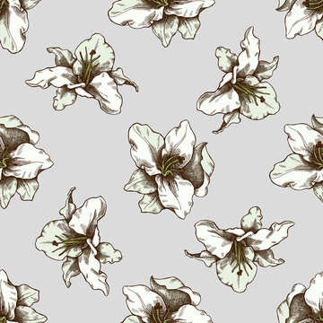 Seamless pattern with hand drawn colored lily