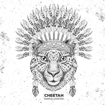 Hipster animal cheetah with indian feather headdress. Hand drawing Muzzle of animal cheetah