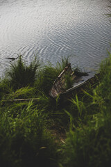 the boat in the pond