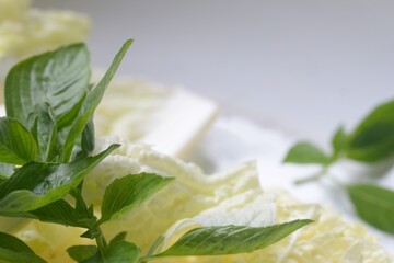 Closeup of chinese cabbage and basil on natural white background.