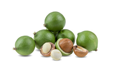 macadamia nuts with leaf isolated on white background.