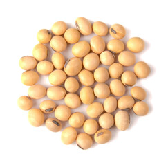 Close up Soybean isolated on a white background.