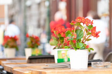 Flowers tables and chairs of an outdoor cafe in europe