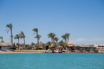 sea beach with palms and houses in egypt