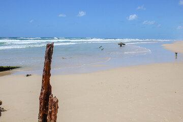 S.S. Maheno in Fraser Island Beach