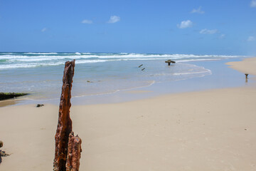 S.S. Maheno in Fraser Island Beach