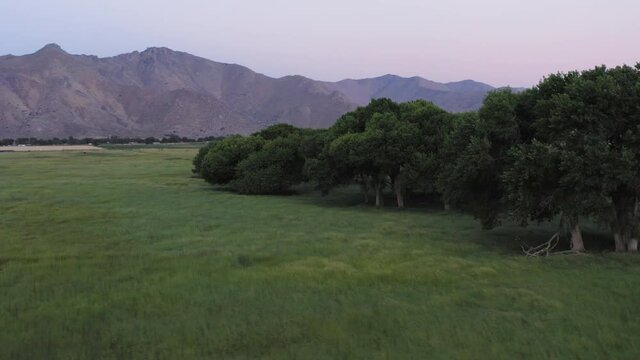 Low flying aerial in Weldon valley with old trees and open grass field, pan left