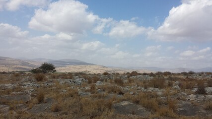 High vantage point at Arbel Mount in Arbel Nature Reserve