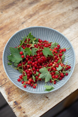 Red currant in a rustic plate on a old brown wooden background