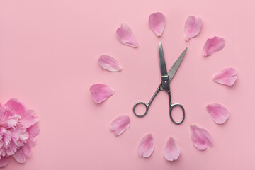 Dial of flowers. Peony, scissors and flower petals on pink background.