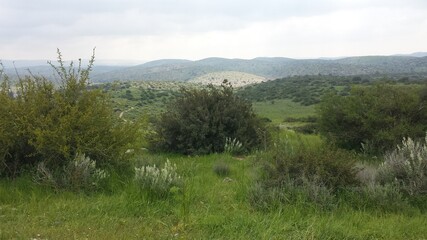 Rock-cut tombs in ancient Israel Horvat Midras