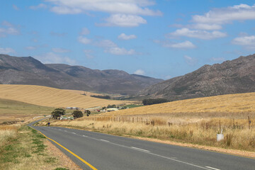 Ausblick auf Straße mit Weizenfeldern in Südafrika Gardenroute