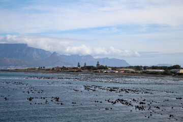 Kapstadt Tafelberg vom Meer aus, von Robben Island