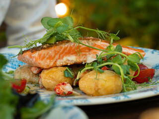 Gourmet trout fillet served with salad in beautiful outdoor garden.