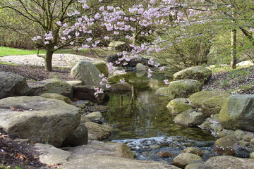 Japanese Garden