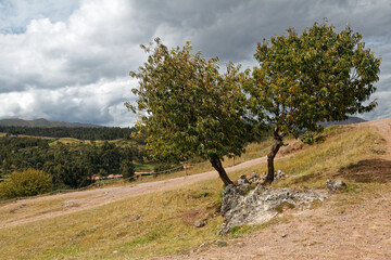 Wzórze nad Cuzco, roślinnośc i formy geologiczne
