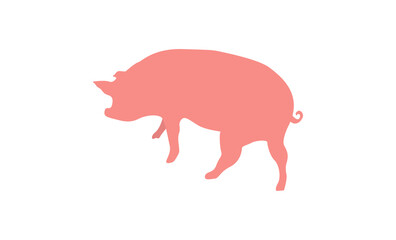 Vector isolated pig illustration. Domestic animal flat illustration