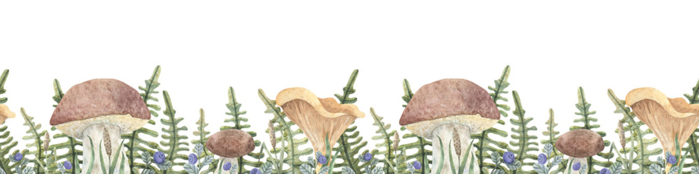 Hand-drawn botanical border. Watercolor seamless ribbon with porcini, chanterelles, ferns, blueberries and blades of grass. Forest ornament for design, textiles, scrapbooking, decoration, printing.