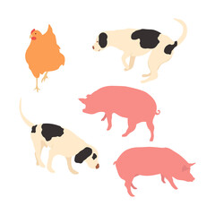 Farm animals vector isolated flat illustrations