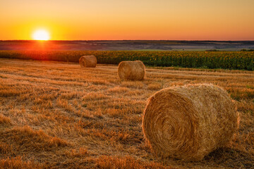 Straw bales on a field at sunset