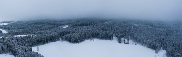 Winterwald Drohne