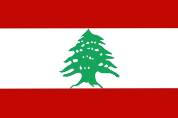 tear drops on tree of Lebanon national  flag, Beirut massive explosion event background