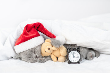 Gray kitten wearing red santa's hat sleeps under blanket with  alarm clock and hugs favorite toy bear