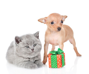 Tiny toy terrier puppy and british kitten sit together with gift box.  isolated on white background