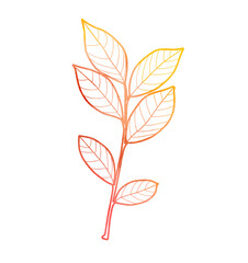 Watercolor hand drawn illustration of autumn ash leaf. Isolated objects on white background. For creating various autumn fall designs