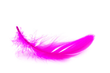 Close up of soft Purple feather isolated on white